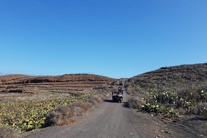 2h Buggy Tour guided by the north of Lanzarote - What the 2.5 Hours Feels Like on the Ground