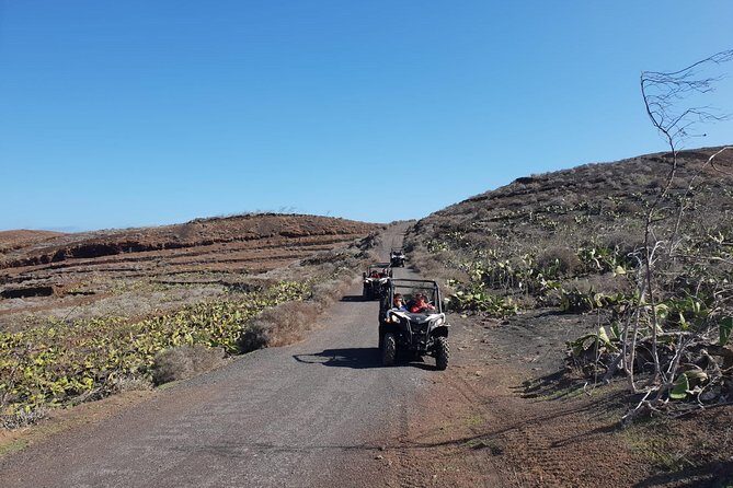 2h Buggy Tour guided by the north of Lanzarote - Should You Book This Buggy Tour or Skip It?