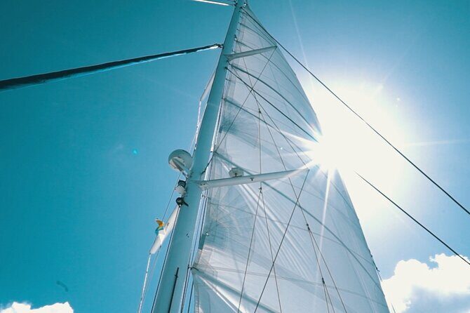 2hrs Dolphins Sunset Sailing Cruise With Drink - Hotel pickup and meeting point tips that prevent stress