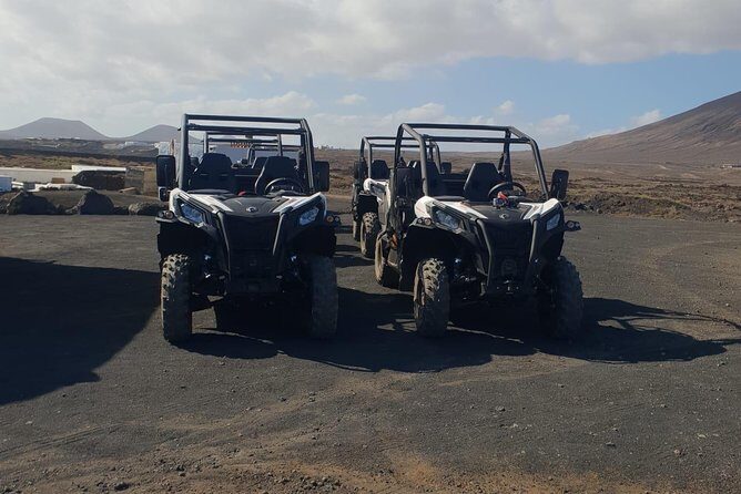 3-hour Buggy Tour from Costa Teguise - Price and Extra Costs: Is It Worth It?