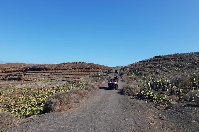 3-hour Buggy Tour from Costa Teguise - Timing, Weather, and How to Book Without Headaches