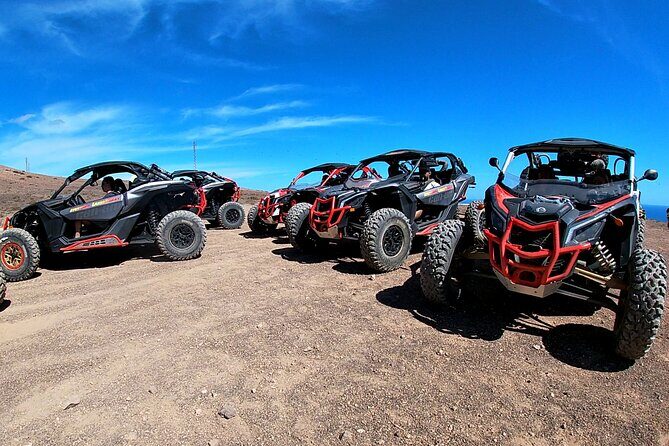 3 Hour Guided Buggy Tour Around the Island of Lanzarote - La Geria and the Timanfaya edge: wine cellars plus volcanic context