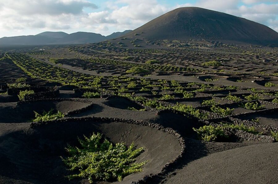 Arrecife/Playa Blanca: Timanfaya National Park Area Day Tour - Key Highlights You’ll Actually Feel During This Tour