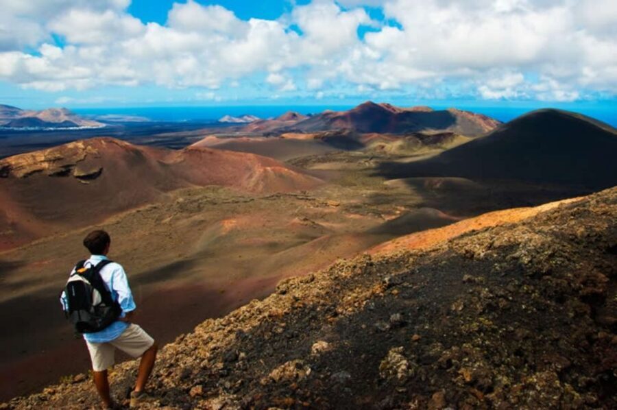 Arrecife/Playa Blanca: Timanfaya National Park Area Day Tour - Timanfaya National Park by Coach: Why This 7-Hour Format Works