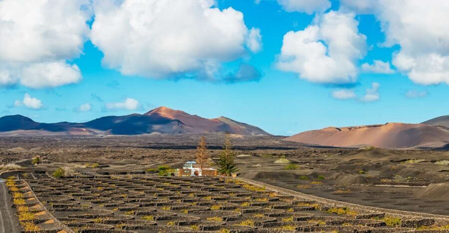 Arrecife: Timanfaya and Green Lagoon for Cruise Passengers - Cruise-day logistics: where you start and why it matters