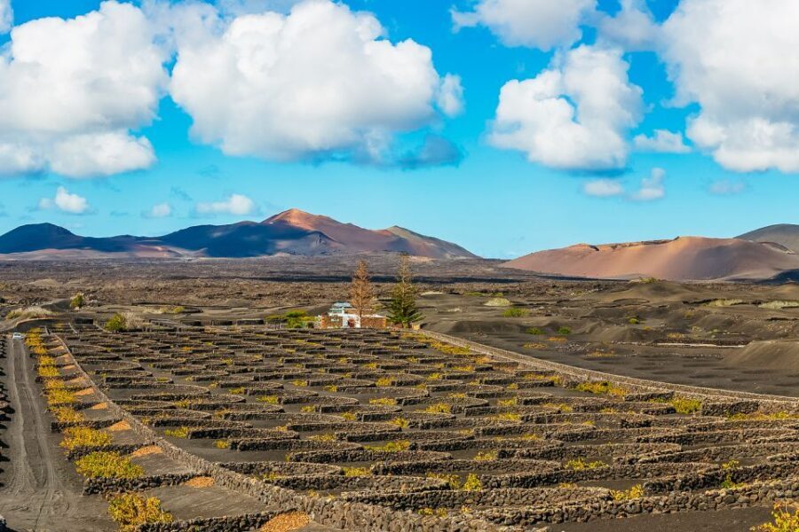 Arrecife: Timanfaya and Green Lagoon for Cruise Passengers - Timanfaya National Park: the Fire Mountains and lava fields you came for