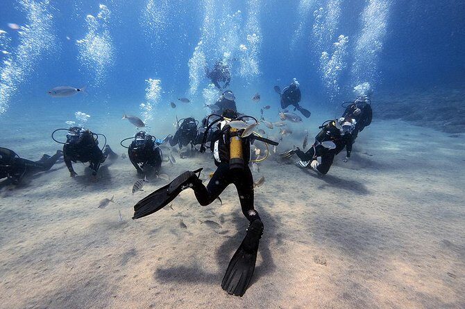 Discover Scuba Diving - Key highlights worth your attention