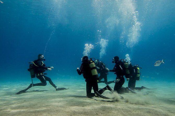 Discover Scuba Diving - Lanzarote’s best selling point: fish-friendly water, made simple