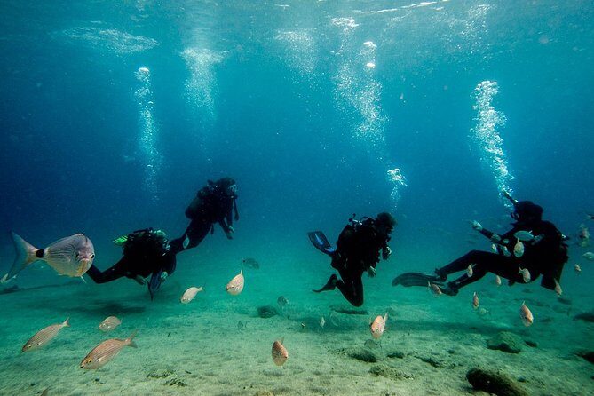 Discover Scuba Diving - Timing and meeting point: a 3:00 pm start in Playa Blanca