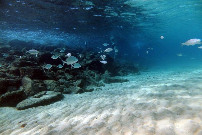 Discover Scuba Diving in Lanzarote (Costa Teguise) - Timing: making the most of a 2.5-hour block