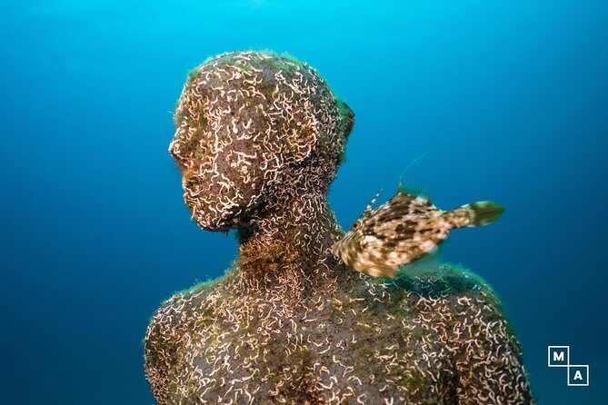 Discover the underwater world of Lanzarote - Aquanautic Club check-in near Puerto del Carmen