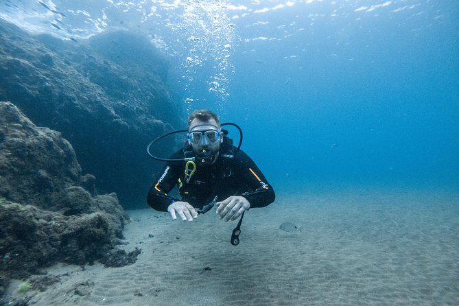 Discover the underwater world of Lanzarote - Marine life time: fish, calm water, and a possible angel shark