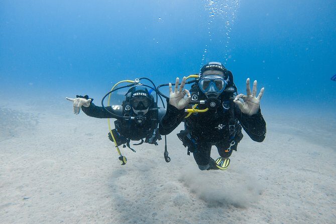 Discover the underwater world of Lanzarote - Photos included: the memory you don’t have to earn