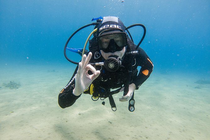 Discover the underwater world of Lanzarote - Who this is best for (and who should reconsider)