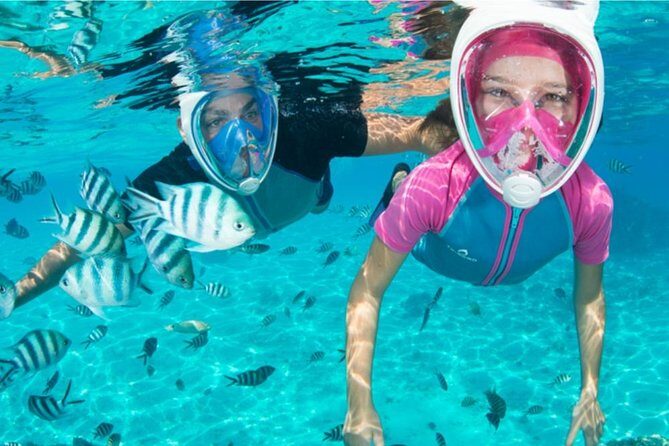 Dolphin Mini Cruise at Playa del Carmen - Swim and snorkel: included, but plan for conditions and gear details