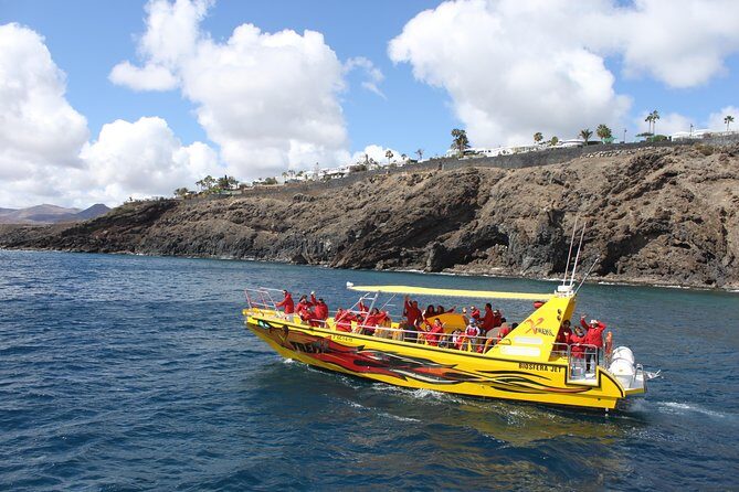Dolphin Mini Cruise at Playa del Carmen - Wildlife odds: what to expect if you see nothing