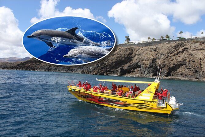 Dolphin Watching Mini Cruise and Snorkeling from Lanzarote - Key Points Before You Go