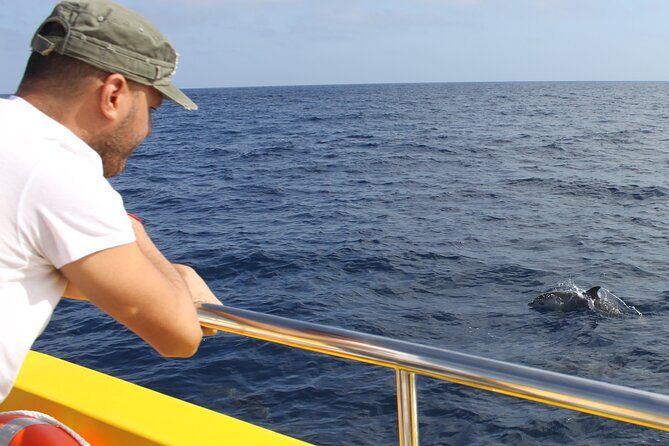Dolphin Watching Mini Cruise and Snorkeling from Lanzarote - The Biosfera Jet Experience: What the 1.5-Hour Cruise Feels Like