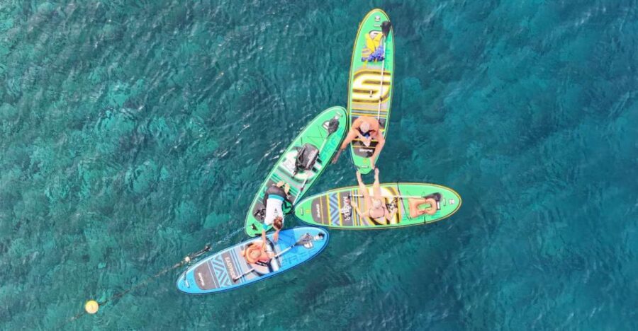 Flamingo Beach: Guided SUP and Snorkeling experience - Key things that make this SUP + snorkeling session work
