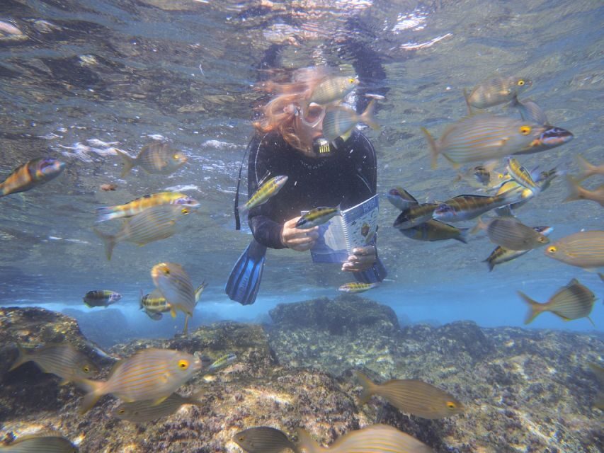Flamingo Beach: Guided SUP and Snorkeling experience - The SUP lesson: from first stance to moving with confidence