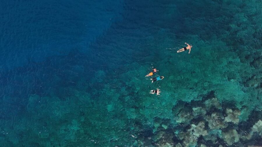 Flamingo Beach: Guided SUP and Snorkeling experience - Safety briefing and sea conditions: what to expect if the water is picky