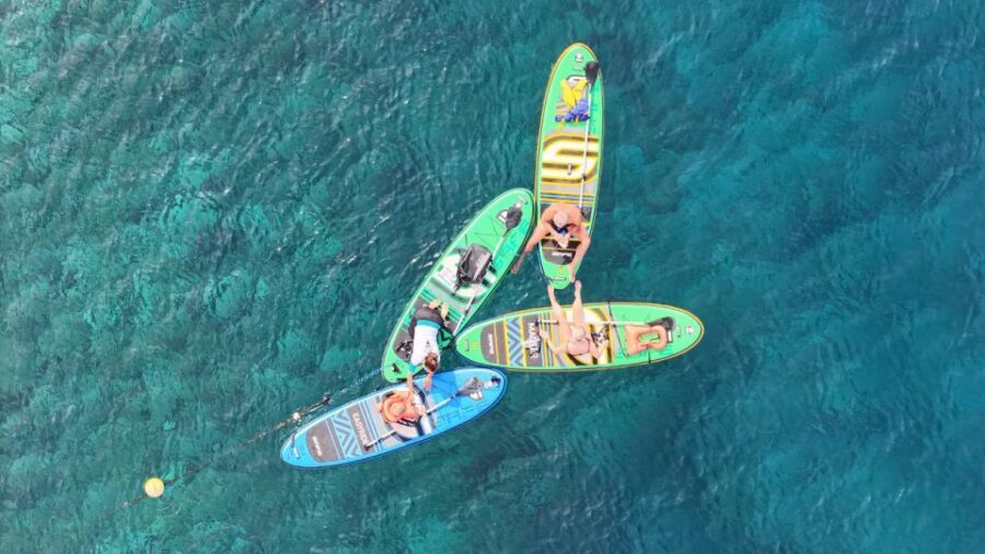 Flamingo Beach: Guided SUP and Snorkeling experience - Price and value: is $69 actually fair for 2 hours?