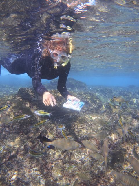Flamingo Beach: Guided SUP and Snorkeling experience - Playa Blanca pickup: the easiest way to start this without stress