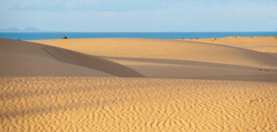 From Lanzarote: Corralejo Buggy Safari - Corralejo dunes: the Sahara-style feeling and how to plan your photos