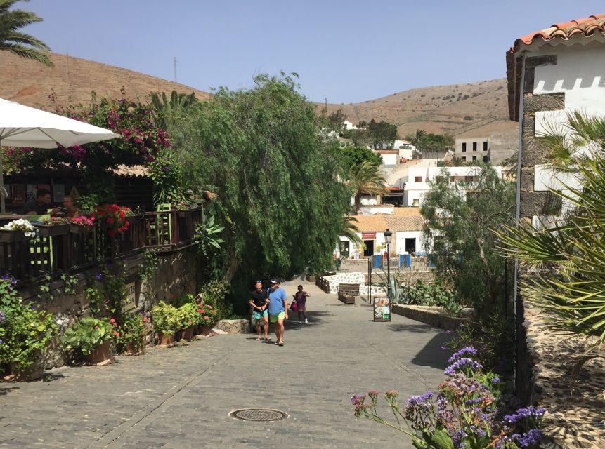 From Lanzarote: Fuerteventura Day Trip - Value for money: what $87 really buys you