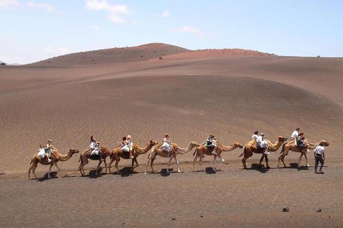 Full Day Tour to Timanfaya, Green Lagoon and La Geria - Transportation and Pickup: This Tour Runs on Timing