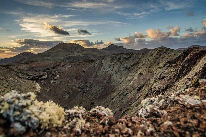 Grand Tour Lanzarote Experience : The Landscape Footprint - Jardin de Cactus: why this stop feels like a world in miniature