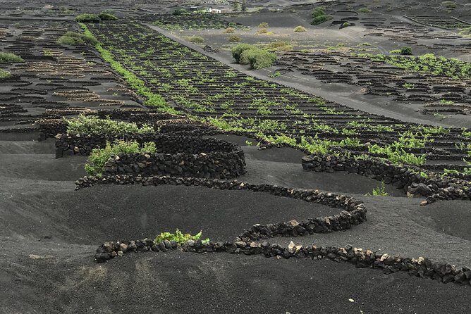 Grand Tour Lanzarote Experience : The Landscape Footprint - La Cueva de los Verdes: the green caves and what to expect
