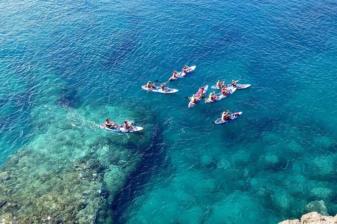 Kayak & Snorkelling in Papagayo - Playa de Papagayo Snorkeling: Fish, Reefs, and Day-to-Day Reality