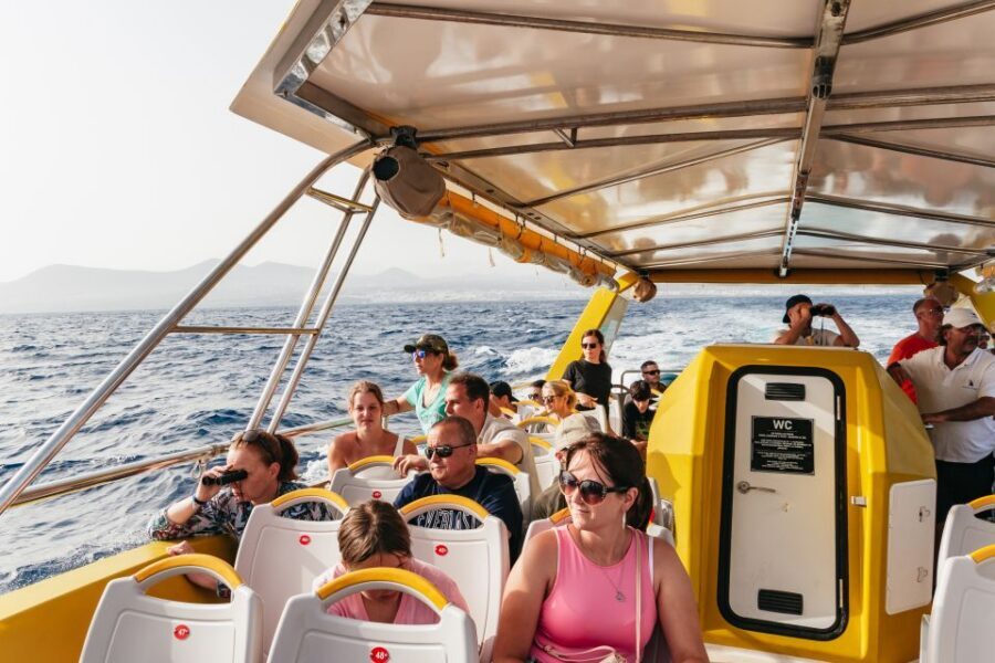 Lanzarote: 2.5-Hour Sunset and Dolphins Cruise - Who should book this cruise, and who might pass