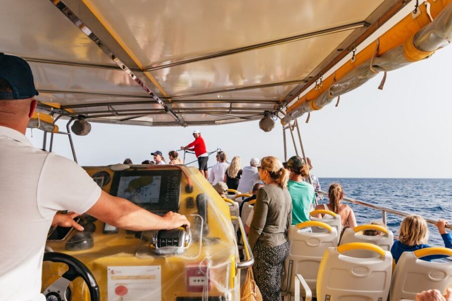 Lanzarote: 2.5-Hour Sunset and Dolphins Cruise - Price and value: is $61 a smart spend?