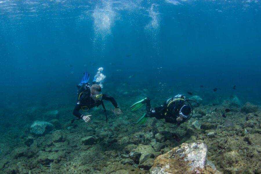 Lanzarote: 2-dive package in Playa Blanca - certified divers - Price and value: what you’re paying for at $141 per person