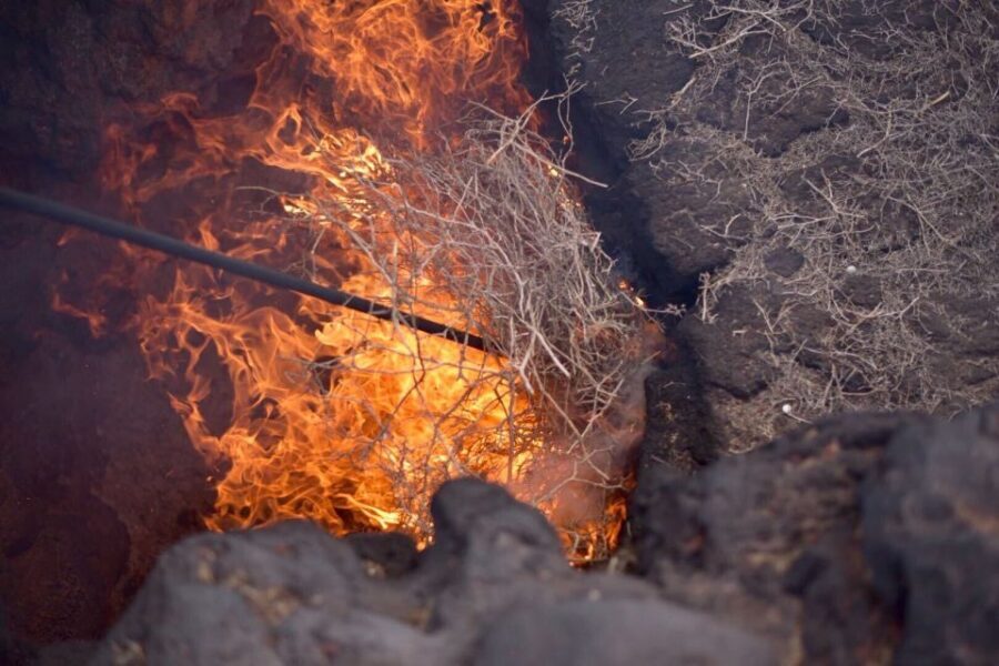 Lanzarote: 5-Hour Timanfaya National Park Southern Tour - Key Things You’ll Actually Notice