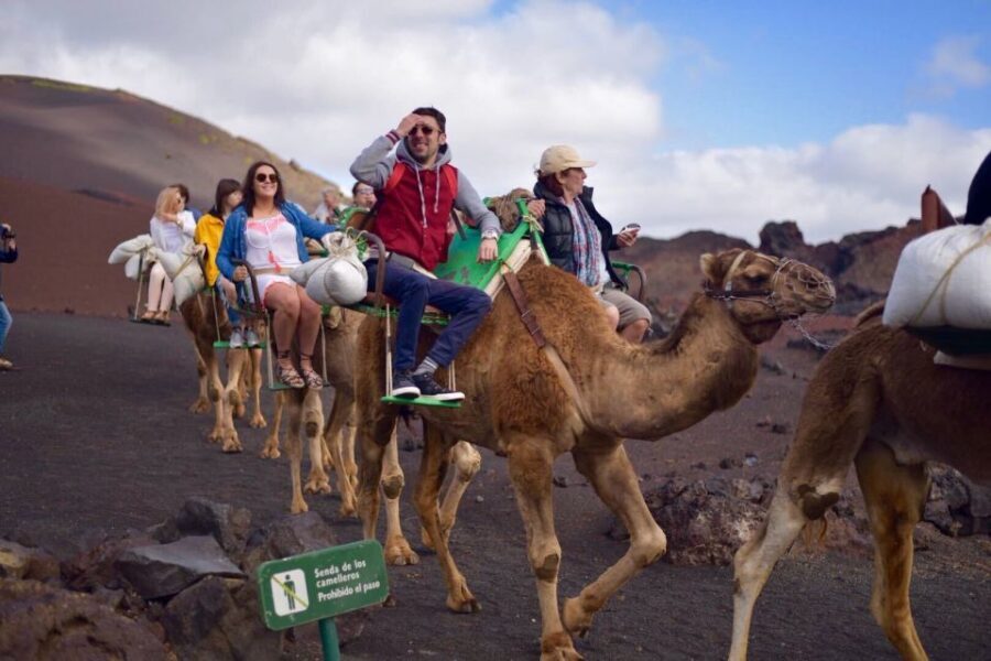 Lanzarote: 5-Hour Timanfaya National Park Southern Tour - La Geria: Craters, Dry-Stone Walls, and Wine Tasting