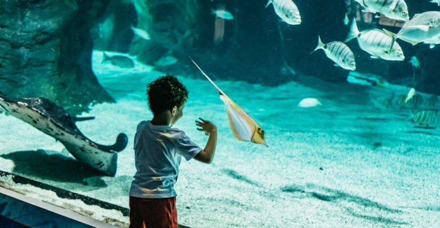 Lanzarote: Aquarium Entry Ticket - Key highlights to know before you go