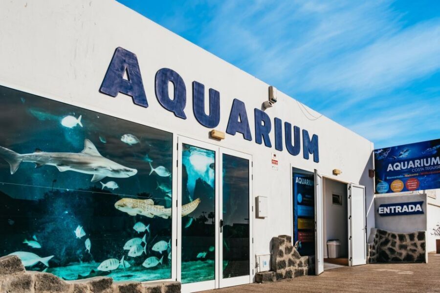 Lanzarote: Aquarium Entry Ticket - Where Is Lanzarote Aquarium, and What Does the Ticket Actually Get You?