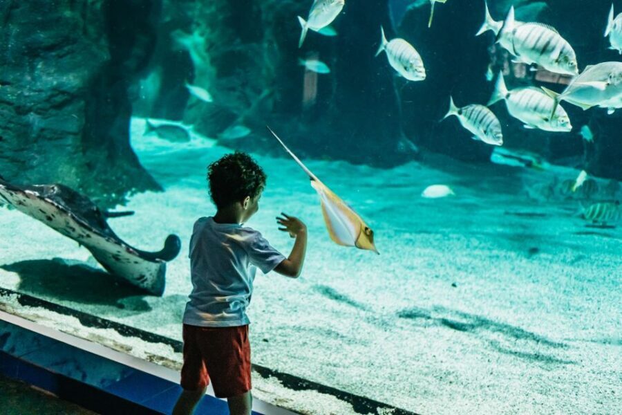 Lanzarote: Aquarium Entry Ticket - The Underwater Tunnel: Shark Time Without Getting Wet