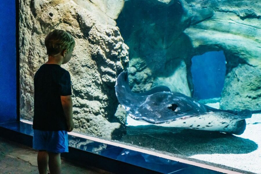 Lanzarote: Aquarium Entry Ticket - Canary Islands, Tropical Tanks, and Freshwater Surprises (Axolotls Included)