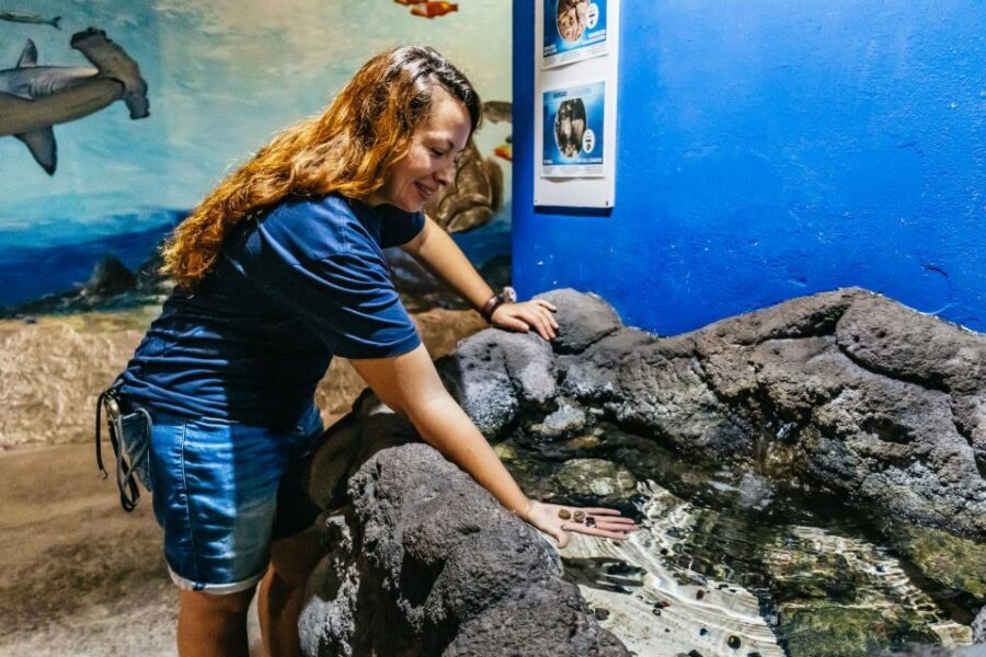 Lanzarote: Aquarium Entry Ticket - Feeding Times: The One Timing Detail That Changes the Feel