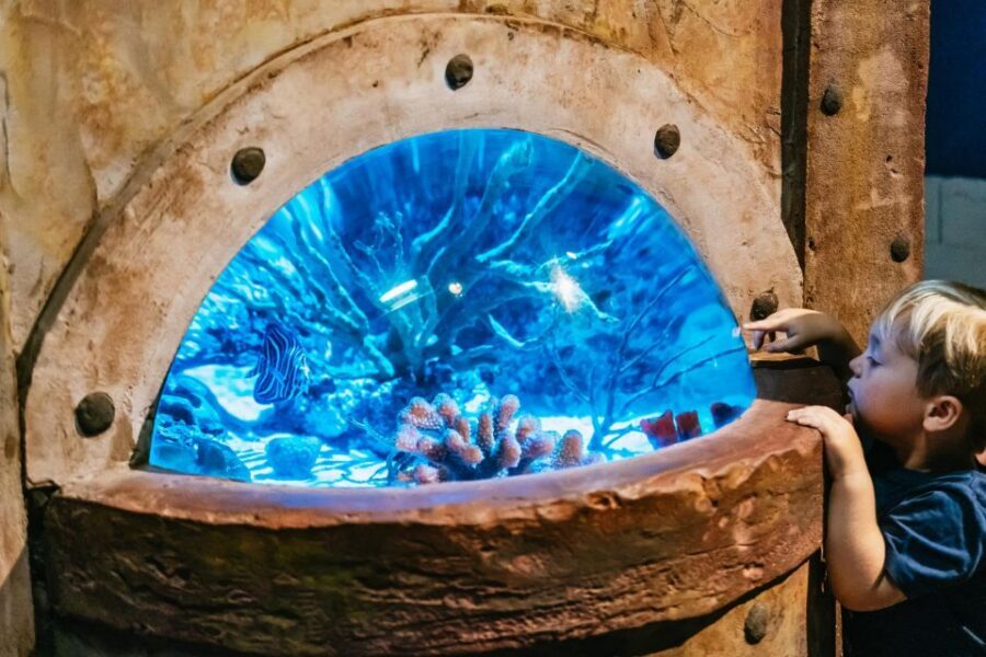 Lanzarote: Aquarium Entry Ticket - Price and Value: Is an $18 Ticket Worth It?