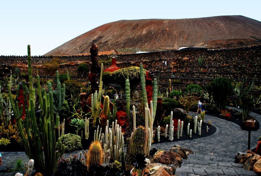 Lanzarote Coast to Coast Tour - Should you book this Lanzarote coast-to-coast tour?