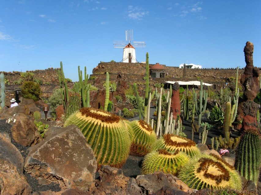 Lanzarote Coast to Coast Tour - Free time on La Graciosa: how to use your 90 minutes well