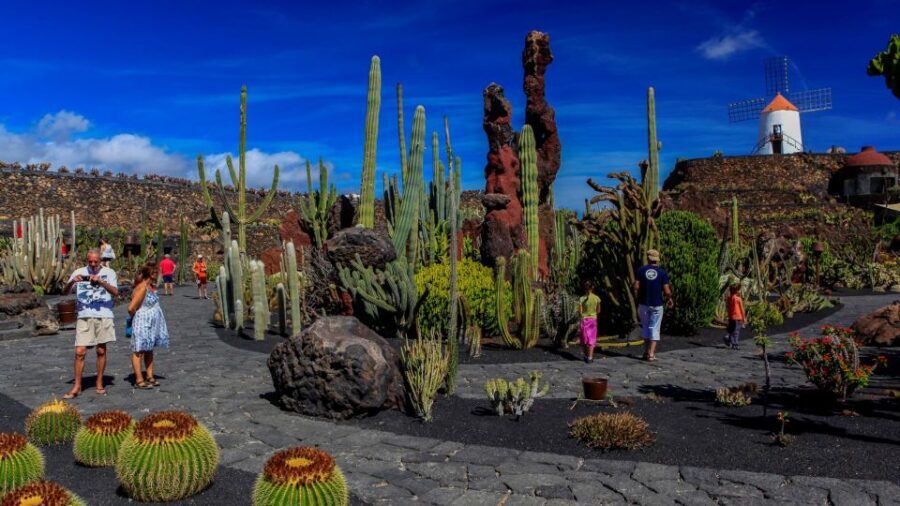Lanzarote Coast to Coast Tour - Comfort, group size, and the one big realism check
