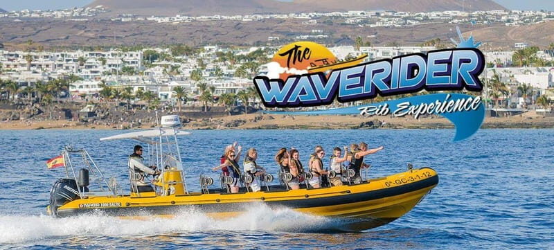 Lanzarote: Dolphin Watching by speedboat - Key points before you go