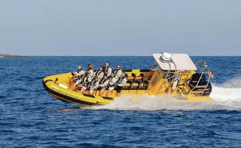Lanzarote: Dolphin Watching by speedboat - Price and value: what $77 buys you in real time