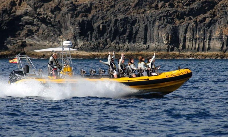 Lanzarote: Dolphin Watching by speedboat - Should you book the dolphin watching speedboat in Lanzarote?